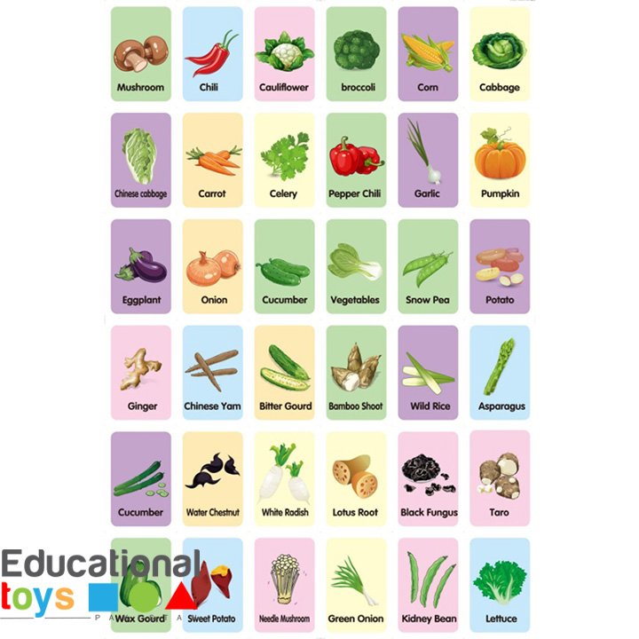 vegetables-flash-cards-1