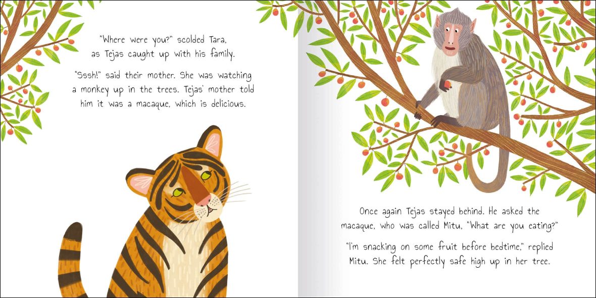 Buy The Curious Tiger - Story Book Online - Educational Toys Pakistan