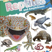 DK Findout Reptiles and Amphibians