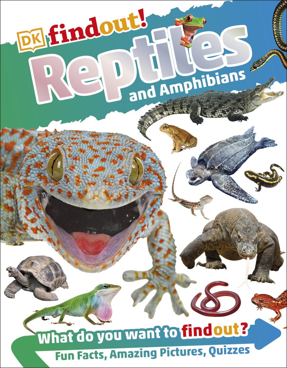 DK Find out! Reptiles and Amphibians (Hardcover)