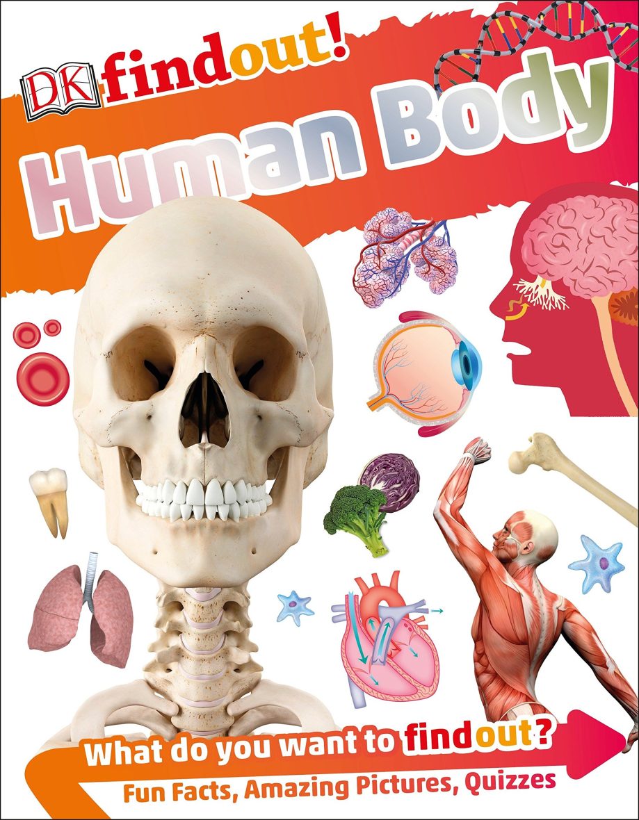 DK Find out! Human Body (Hardcover)