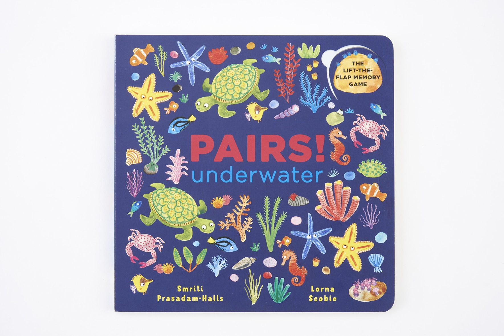 Pairs Underwater – a lift the flap memory book