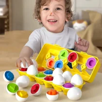 shape and colour eggs set of 12