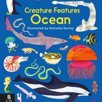 creature features ocean board book